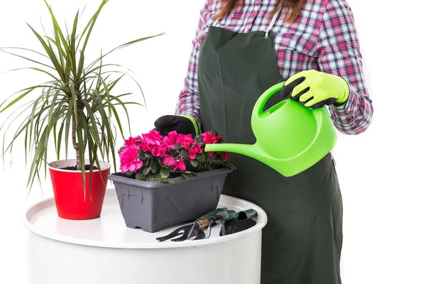 Donna Giardiniere Professionista Fiorista Grembiule Con Fiori Una Pentola Attrezzi — Foto Stock