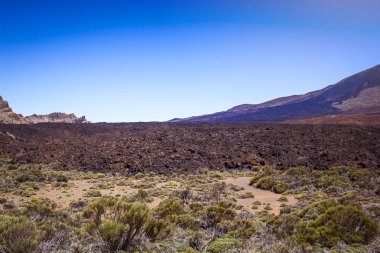 Güzel manzara Teide Milli Parkı, Tenerife, Kanarya Adası, İspanya