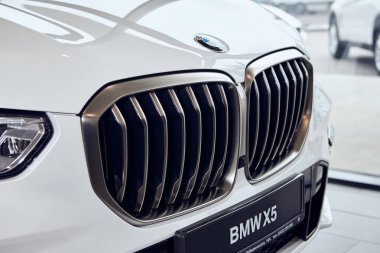 Fabruary, 2018 - Vinnitsa, Ukrayna 08. Yeni Bmw X5 araba showroom - radyatör ekran sunusunda