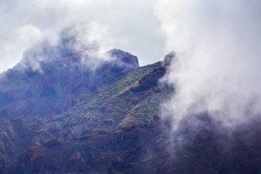 Masca Gorge dağ manzarası. Deniz kenarı ile küçük köylerde, Tenerife, Kanarya Adaları'nın güzel manzaralarını