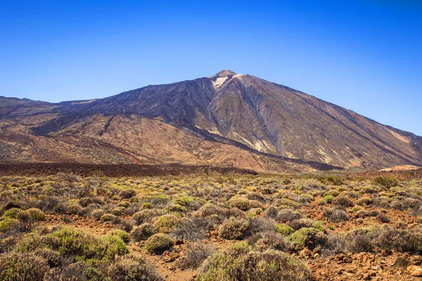 Vackra landskap av Teide nationalpark, Teneriffa, Canary island, Spanien — Stockfoto