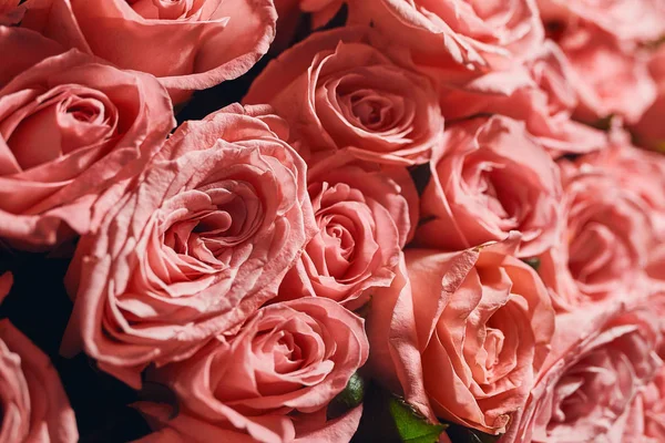 Güzel büyük pembe gül buketi bir gelin düğün üst, çiçek arka plan üzerinde