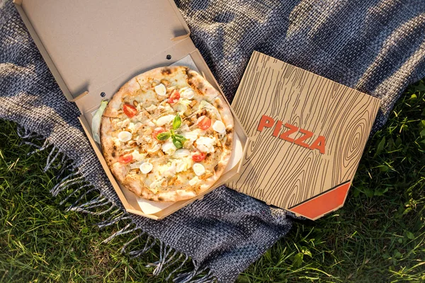 Pizza fresca ao ar livre na grama verde no parque. Comida no resort. Snack fast food durante as férias . — Fotografia de Stock