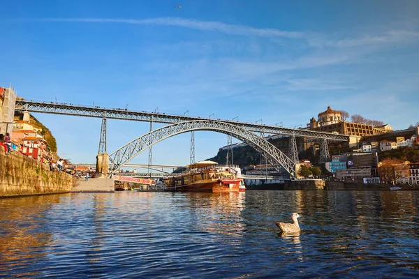 09 de diciembre de 2018 - Oporto, Portugal: La gaviota se sienta en el terraplén del río Duero con fondo del puente Dom Luis —  Fotos de Stock
