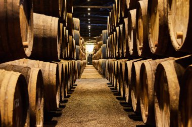 İtalya, Porto, Portekiz ve Fransa 'da serin ve karanlık mahzenlere dizilmiş şarap dolu eski geleneksel ahşap fıçılar.