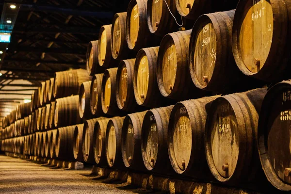 Régi, hagyományos fahordók borral egy pincében, hűvös és sötét pincében Olaszország, Porto, Portugália, Franciaország — Stock Fotó