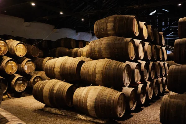 Velhos barris de madeira tradicionais com vinho num cofre alinhado numa cave fresca e escura na Itália, Porto, Portugal, França — Fotografia de Stock