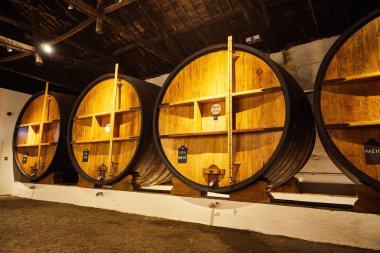 İtalya, Porto, Portekiz ve Fransa 'da serin ve karanlık mahzenlere dizilmiş şarap dolu eski geleneksel ahşap fıçılar.