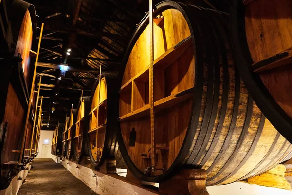 Παλαιωμένα παραδοσιακά ξύλινα βαρέλια με κρασί σε ένα θησαυροφυλάκιο παρατάσσονται σε δροσερό και σκοτεινό κελάρι στην Ιταλία, Πόρτο, Πορτογαλία, Γαλλία — Φωτογραφία Αρχείου