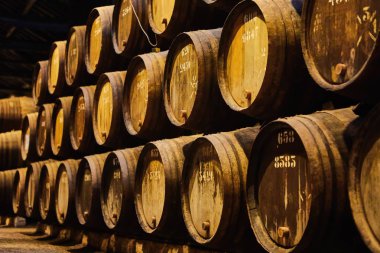 İtalya, Porto, Portekiz ve Fransa 'da serin ve karanlık mahzenlere dizilmiş şarap dolu eski geleneksel ahşap fıçılar.