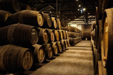 İtalya, Porto, Portekiz ve Fransa 'da serin ve karanlık mahzenlere dizilmiş şarap dolu eski geleneksel ahşap fıçılar.