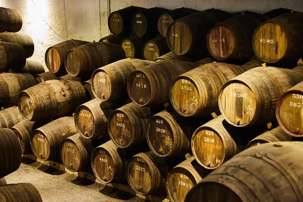 Velhos barris de madeira tradicionais com vinho num cofre alinhado numa cave fresca e escura na Itália, Porto, Portugal, França — Fotografia de Stock