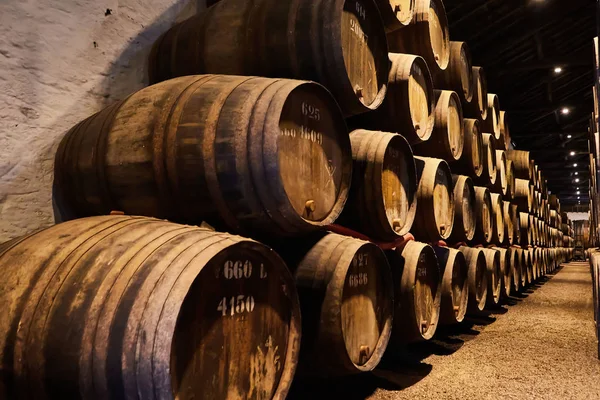 Viejos barriles de madera tradicionales envejecidos con vino en una bóveda alineada en una bodega fresca y oscura en Italia, Oporto, Portugal, Francia — Foto de Stock