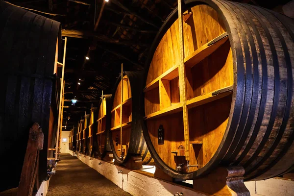 Old aged traditional wooden barrels with wine in a vault lined up in cool and dark cellar in Italy, Porto, Portugal, France