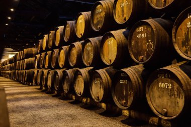 İtalya, Porto, Portekiz ve Fransa 'da serin ve karanlık mahzenlere dizilmiş şarap dolu eski geleneksel ahşap fıçılar.