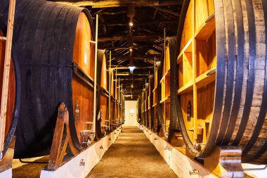 İtalya, Porto, Portekiz ve Fransa 'da serin ve karanlık mahzenlere dizilmiş şarap dolu eski geleneksel ahşap fıçılar.