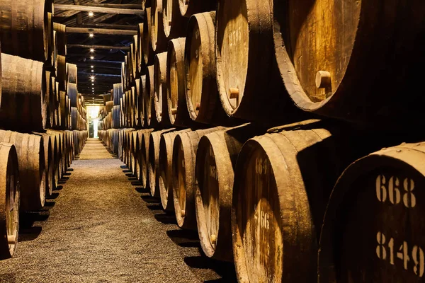 Viejos barriles de madera tradicionales envejecidos con vino en una bóveda alineada en una bodega fresca y oscura en Italia, Oporto, Portugal, Francia — Foto de Stock