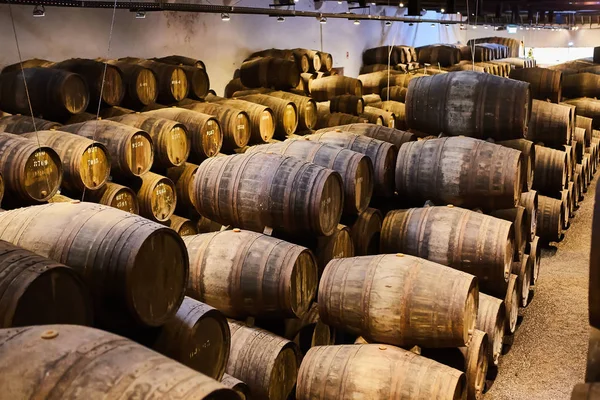 Velhos barris de madeira tradicionais com vinho num cofre alinhado numa cave fresca e escura na Itália, Porto, Portugal, França — Fotografia de Stock