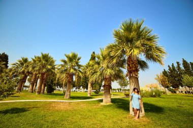Hierapolis, Pamukkale, Türkiye: Bir palmiye ağacının altında duran şapkalı kadın ve güneşli günlerin tadını çıkarın