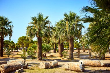 Hierapolis antik kenti Pamukkale Türkiye harabeleri 