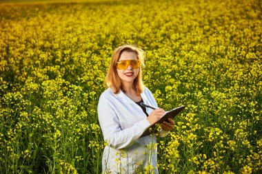 Agronomist kadın veya çiftçi tablet kullanarak çiçek tecavüz (kanola) alanı incelemek