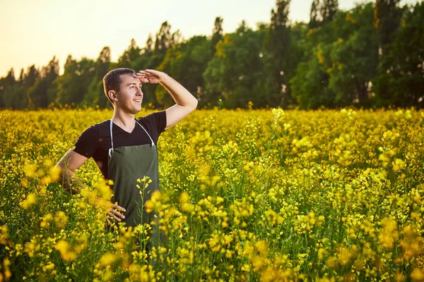 Молодий фермер або агроном вивчає якість ріпакової олії на полі ріпаку. Концепція агробізнесу — стокове фото