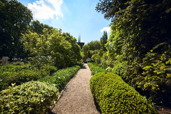 Wroclaw Poland May 2019 波兰弗罗茨拉夫大学植物园 这座花园建在城市最古老的部分 大教堂岛 Ostrow Tumski — 图库照片