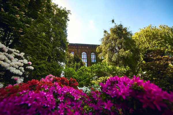 Wroclaw Polónia Maio 2019 Jardim Botânico Universidade Wroclaw Polônia Jardim — Fotografia de Stock