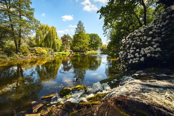 Wroclaw Polonia Mayo 2019 Jardín Botánico Universidad Wroclaw Polonia Jardín — Foto de Stock