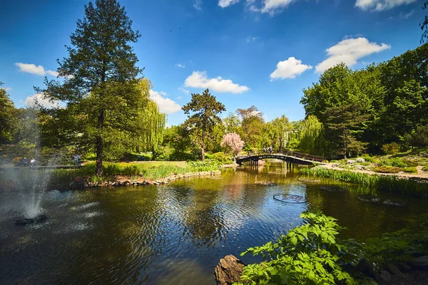 Wroclaw Poland Mai 2019 Grădina Botanică Universității Din Wroclaw Polonia — Fotografie, imagine de stoc