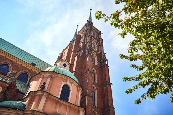 Wroclaw Pologne Mai 2019 Cathédrale Saint Jean Baptiste Sur Île — Photo