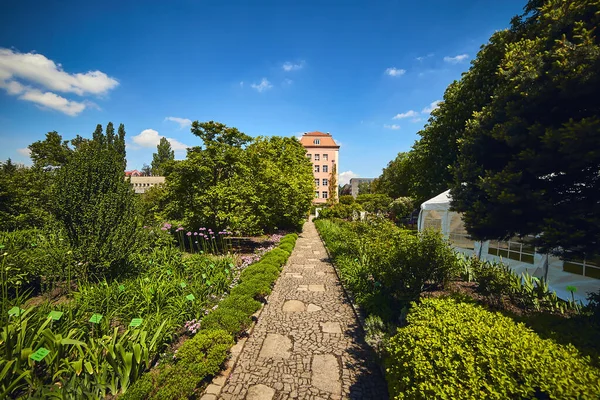 Wroclaw Polónia Maio 2019 Jardim Botânico Universidade Wroclaw Polônia Jardim — Fotografia de Stock