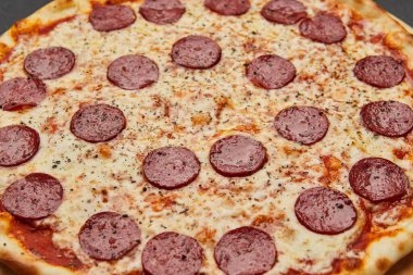 Koyu arkaplanda mozzarella peyniri ve salamlı nefis İtalyan pizzası.