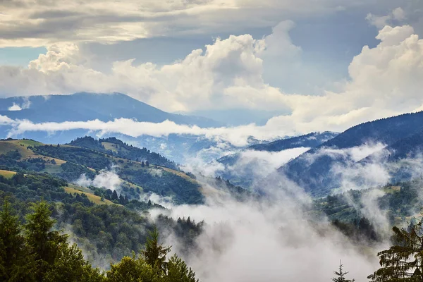 View Synevyr Pass Foggy Mountains National Natural Park Synevir Mizhhirya — стоковое фото