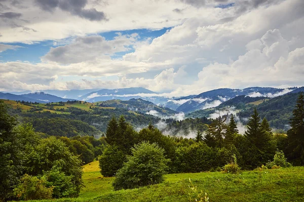 View Synevyr Pass Foggy Mountains National Natural Park Synevir Mizhhirya — стоковое фото