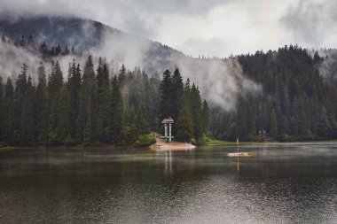 Dağ Gölü Synevir, Ukrayna, Karpatya 'da yağmurlu ve sisli bir yaz gününde. Güzel doğa manzarası var. Kıyısında uzun ağaçlar olan kozalaklı bir orman.
