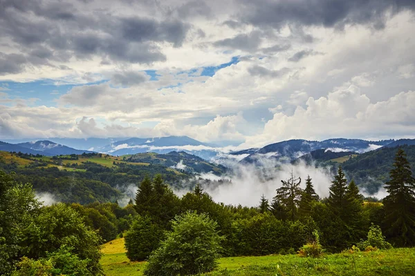 View Synevyr Pass Foggy Mountains National Natural Park Synevir Mizhhirya — стоковое фото