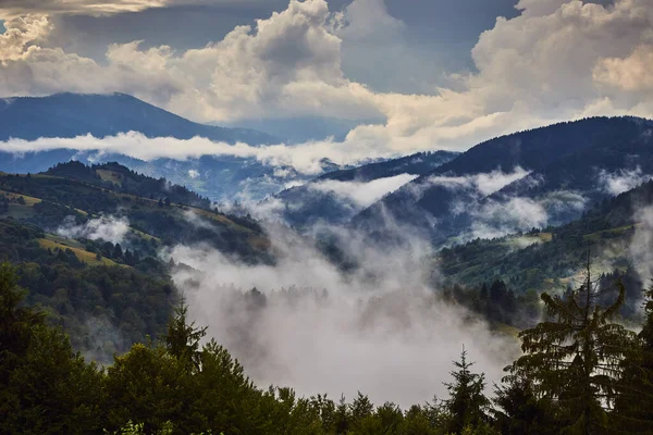 Synevyr Geçidinden Ukrayna Nın Transcarpathian Bölgesinin Mizhhirya Ilçesindeki Ulusal Doğal — Stok fotoğraf