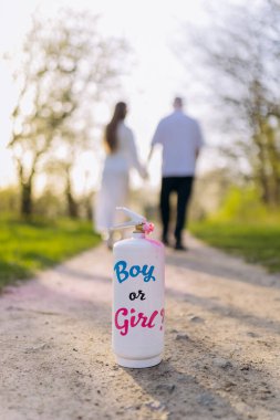 Cinsiyet belirleme konsepti bir sprey kutusuyla ve çift el ele yürüyorlar. Yüksek kalite fotoğraf