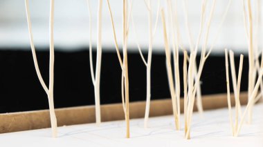 ağaç dalı sopa desen ve dallar ile arka plan bulanıklık