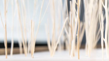 ağaç dalı sopa desen ve dallar ile arka plan bulanıklık