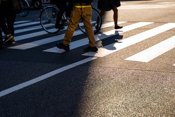 Silhouette Von Oben Ansicht Der Menschen Gehen Auf Dem Fußgängerüberweg — Stockfoto