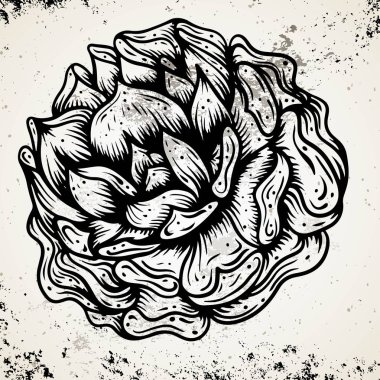 güzel tek renkli siyah ve beyaz gül flover arka planda izole. Elle çizilmiş. tasarım tebrik kartı ve düğün, doğum günü, Sevgililer Günü, anneler günü ve diğer tatil davetiyesi