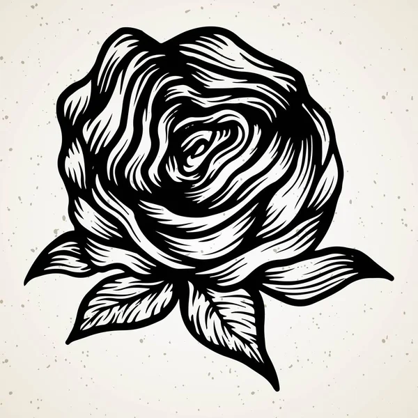 Rose isolée. Schéma. Illustration vectorielle de ligne de stock . — Image vectorielle