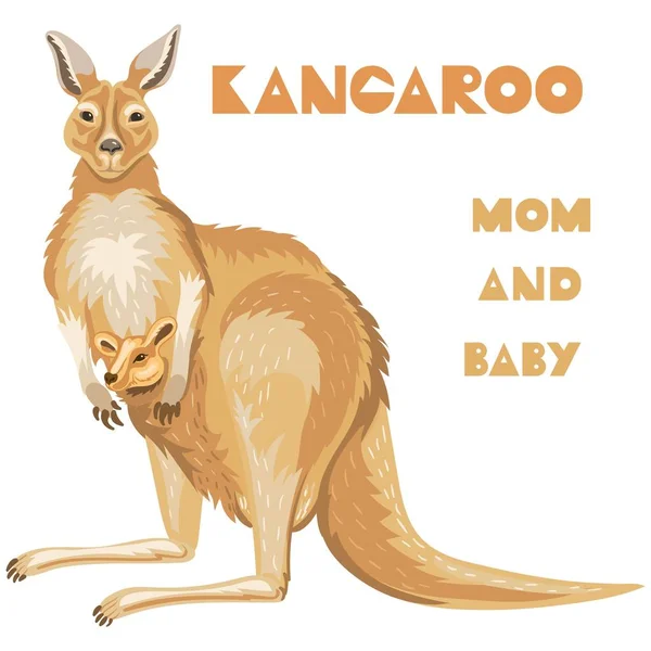 Vector realistic illustration of a cute mom kangaroo with a little baby in pocket. Good for a family brand of clothes for moms with bsby. Mother's Day postccsrd. — Stock Vector