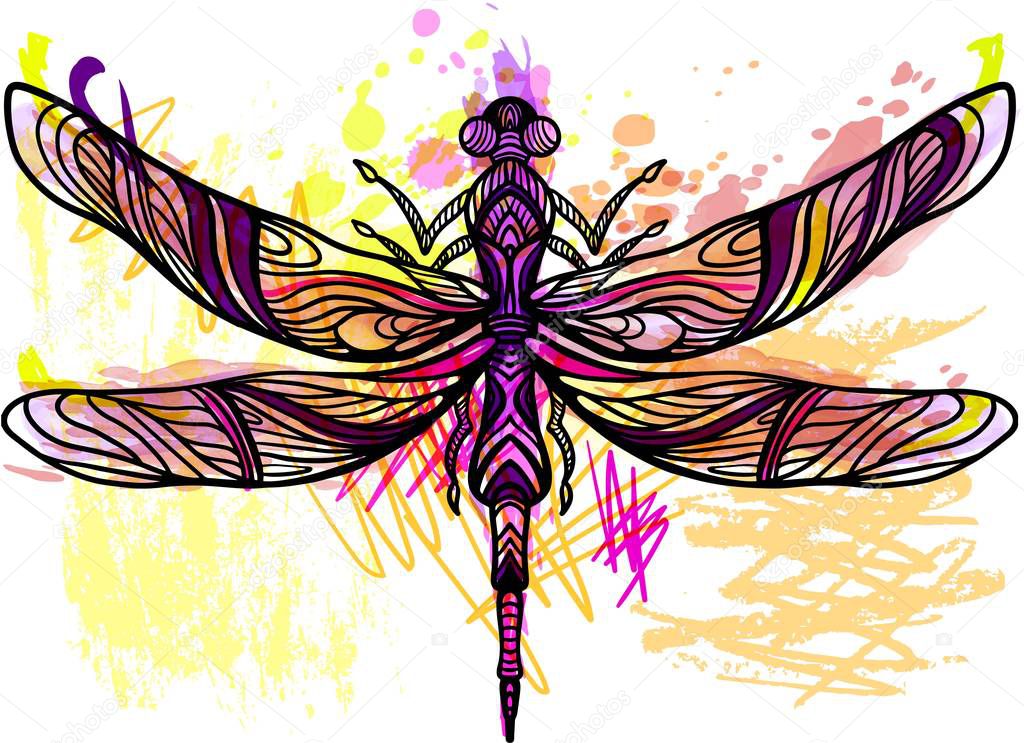 Dragonfly. Sketchy line art filigree with watercolor splash and pencil texture. vector