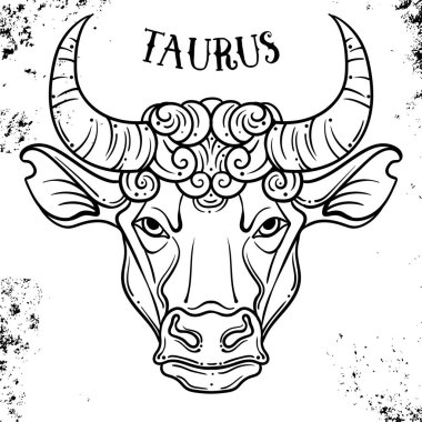 Güzel çizgi sanat telkari Zodiac. Vintage arka planda siyah işareti. Zarif mücevher dövmesi. Kazınmış burç sembolü. Hat yazısı ile mistik çizim Doodle. Toros