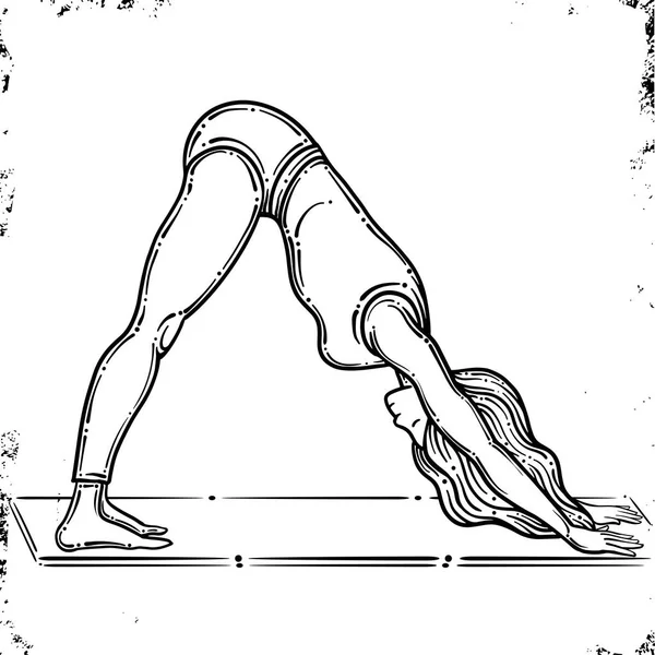 Contorno vectorial de la mujer en la pose de yoga, postura hacia abajo del perro. Postura de Adho Mukha Svanasana. Vector. Aislado sobre fondo blanco — Vector de stock
