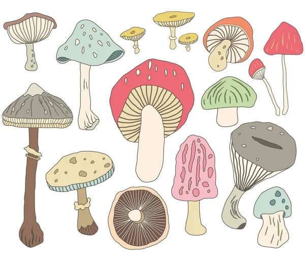 Przekazania Losowanie Grzyb Elementów Ilustracja Wektorowa Ręki Narysować Mushroom Elementów — Wektor stockowy