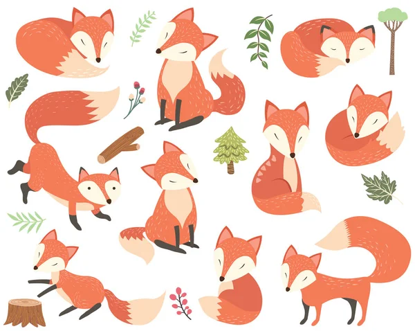 Woodland Animal Fox Elements — Stockový vektor